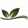 Legacy at Forest Ridge Logo