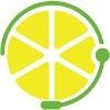 Lemon Business Solutions Logo