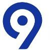 Levi9 Logo