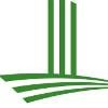 Levine Museum Logo