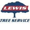 Lewis Tree Logo