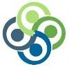LEX NIMBLE SOLUTIONS Logo