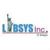 Libsys (Illinois) Logo