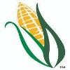 Lifeline Foods Logo