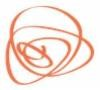 Light & Motion Logo
