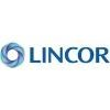 Lincor Logo