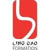 Ling Dao Formation Logo