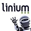 Linium Recruiting Logo