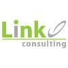 Link Consulting Services Logo