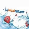 Local Splash Logo