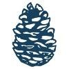 Lone Cone Logo