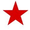 Lone Star Grading & Materials Logo