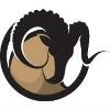 Lonestar Sierra Logo