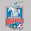 Long Island Rough Riders Logo