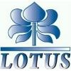 Lotus Broadcasting Logo