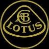 Lotus F1 Team Logo