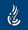 Lourdes Health Network Logo