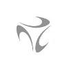 Loyalty Partner Logo