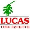 Lucas Tree Experts Logo