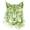 Lynx Property Services Logo