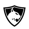 Lynx Technology Partners Logo