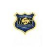 Madison Security Logo
