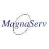 Magnaserv Enterprises Logo