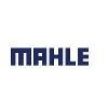 MAHLE International Logo