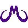 Mammoth Contracting Logo