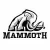 Mammoth Energy Services Logo