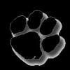 Manassas Park City Schools Logo