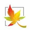 Maple Software Logo