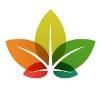 Maple to Ivy Logo