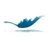 Maplesoft Logo