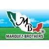Marquez Brothers International Logo