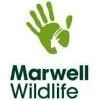 Marwell Wildlife Logo