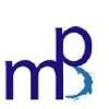 MatchPoint Solutions Logo