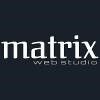 Matrix Web Studio Logo