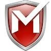 Max Secure Software India Pvt Logo