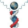 Maxim Biomedical Logo