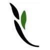 McKelvey Group Logo