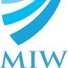McLean Intelligent Workforce Logo