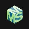 Medical Management Solutions Logo