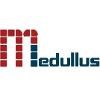 Medullus Systems Logo