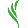 Mendel Biotechnology Logo