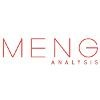 MENG Analysis Logo