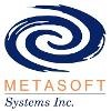 Metasoft Systems Logo