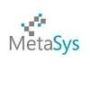 MetaSys Software Logo