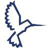 MHS Aviation Logo