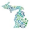 Michigan Health Information Network Logo
